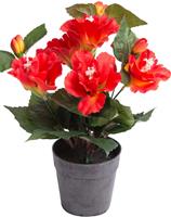 Botanic-Haus Kunstbloem Hibiscus in pot (1 stuk)