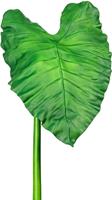 Creativ green Kunsttak Callablad