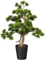 Creativ green Kunstbonsai Bonsai grenen