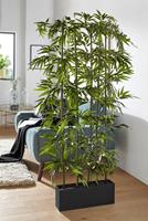 Creativ green Kunstplant Bamboe