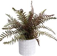 Botanic-Haus Kunst-potplanten Varen in cementen pot