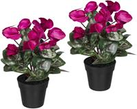 Creativ green Kunst-potplanten Cyclaam (2 stuks)