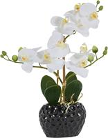 Leonique Kunstplant Orchidee Kunstorchidee, in pot, bestseller, meer dan 2500 4,5-sterren beoordelingen (1 stuk)