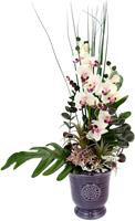 I.GE.A. Kunstplant Orchidee