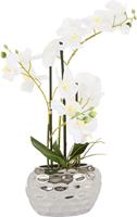 Leonique Kunstplant Orchidee Kunstorchidee, in een pot (1 stuk)
