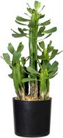 Creativ green Kunst-potplanten Vetplantje Euphorbie