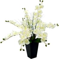 I.GE.A. Kunstplant Vlinderorchidee in pot