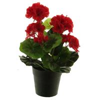Nova Nature Kunst Pelargomium in pot red - 28 cm