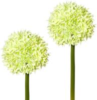 Creativ green Kunstbloem set van 2