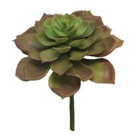 Nova Nature Kunst Echeveria Vetplant 17 cm - Roze