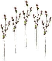 I.GE.A. Kunstbloem Toverhazelaar 5set van (5 stuks)