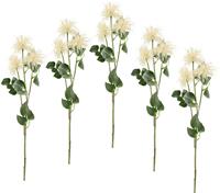I.GE.A. Kunstbloem Spider protea 5set van (5 stuks)