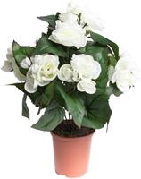 Botanic-Haus Kunstbloem Begonia in pot