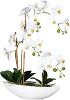 Creativ green Kunstorchidee Vlinderorchidee in het keramische schip