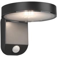 BES LED Led Solar Tuinverlichting - Trion Posyda - Zonne-energie - Bewegingssensor - 4w at Zwart