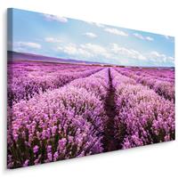 Karo-art Schilderij - Bloeiend Lavendel Veld, Paars/blauw, Premium Print