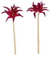 Creativ deco Kunstbloem Amaryllis (set)