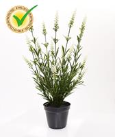 Lavendel kunstplant 50cm in pot - wit - UV bestendig