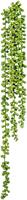 Creativ green Kunstplant Sedum-plantenhanger set van 3