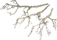 Botanic-Haus Kunsttak Decoratieve tak (set, 3 stuks)
