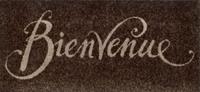 wash+dry by Kleen-Tex Mat Bienvenue Inloopmat, met quote, geschikt voor binnen en buiten, wasbaar
