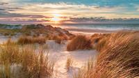 Schilderij - Ondergaande zon op het strand, Premium print