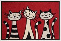 wash+dry by Kleen-Tex Fußmatte "Three Cats", rechteckig