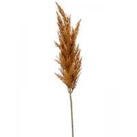 Plantenwinkel.nl Grass Pampas Orange M 92 cm kunsttak per 1 stuks