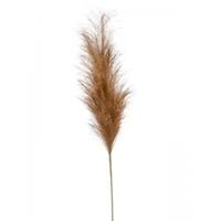 Plantenwinkel.nl Pampas Brown 115 cm kunsttak per 1 stuks