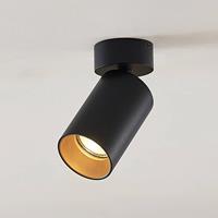 Arcchio Brinja spot, rond, zwart-goud, 1-lamp