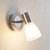 ELC Kamiran spot, glazen kap, 1-lamp