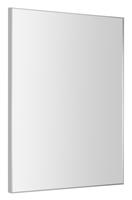 Sapho Arowana spiegel 60x80 chroom
