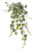 Louis Maes Kunst hangplant hedera l68cm bont header