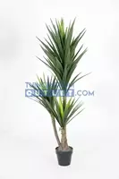 Noach Yucca h160cm groen