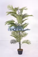 Noach Areca palm - 160 cm