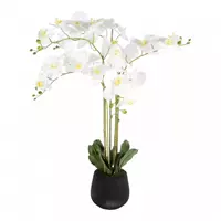 Noach Outdoor Kunstplant orchidee wit - 5 tak h90cm