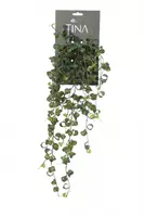 Louis Maes Kunsthangplant Krulficus l50cm groen header