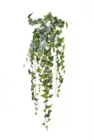 Louis Maes Kunst hangplant Hedera l105cm bont header