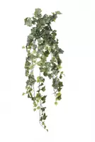 Louis Maes Kunst hangplant Hedera l105cm antiek groen header