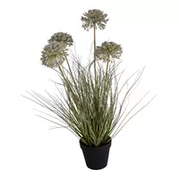 Lesli Living Allium gras 4 toppen h57cm groen