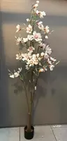 Lesli Living Kunstplant Magnolia boom h200cm