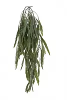 Louis Maes Kunstplant Rhipsalis l70cm groen header
