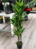 Lesli Living Kunstplant Dracaena lemon lime i/pot h120 grn