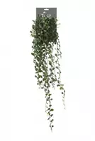 Louis Maes Kunsthangplant Dischidia l85cm groen