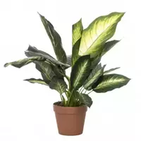 Noach Outdoor Kunstblad Dieffenbachia met pot - h50cm