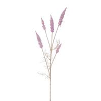 Buitengewoon de Boet Astilbe tak pink