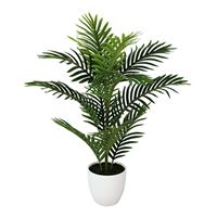 Buitengewoon de Boet Mini palm 75 cm