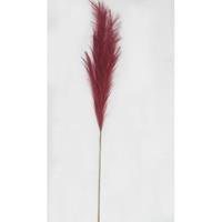 Buitengewoon de Boet Pampas gras 100cm rood