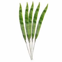 5x stuks kunstplant takken Gladioolblad bladgroen cm -