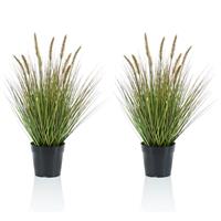 Emerald Set van 2x stuks kunstplanten groen gras sprieten 58 cm. -